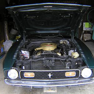 Mustango