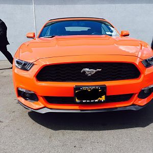 Ecoboost Mustang Convertible