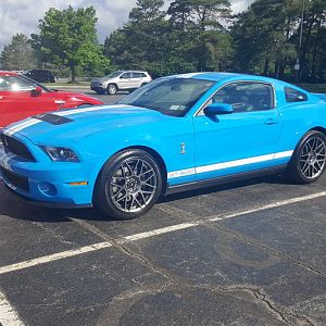 2012 GT500