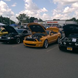 show pictures