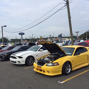 99 Roush Mustang