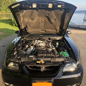 99 Cobra