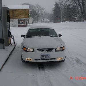 Camoflage- activated. 

who says Mustangs arent good in snow?