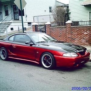 mustang 1 (Small)