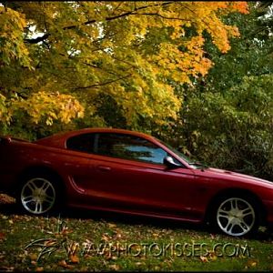 Fall 2008