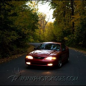 Fall 2008