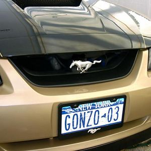 Grill delete pic.