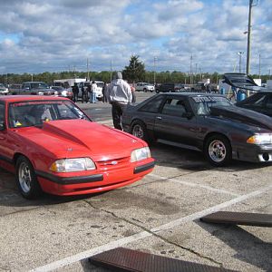 IMG 7044