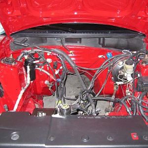 BigRedPaint 15