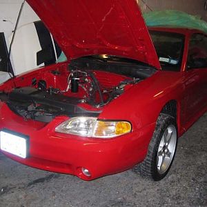 BigRedPaint 18