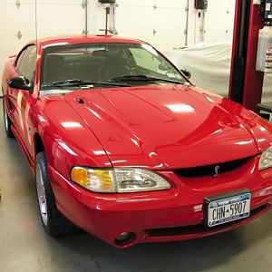 BigRedPaint 21