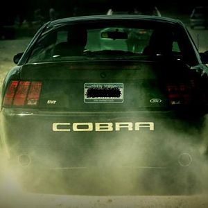 Nice rear end pic.
