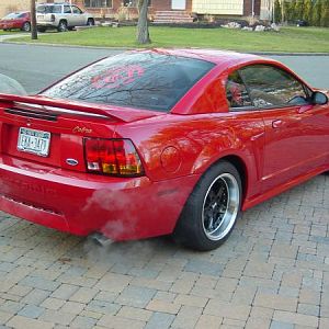 my stang4