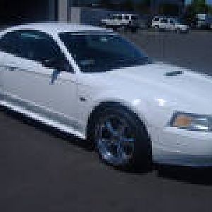 mustang before