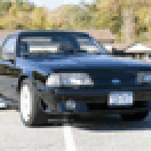 mustang