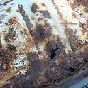 drivers side rust