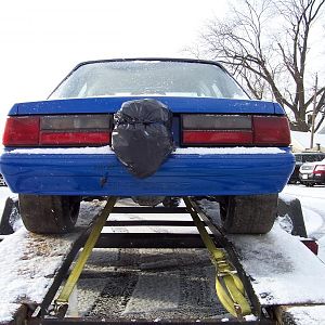 Nasty in Snow 1