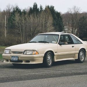 Mustang