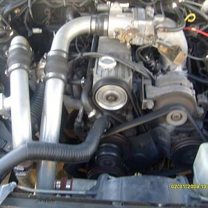 Picture 036