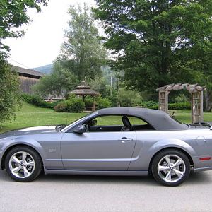 mustang1