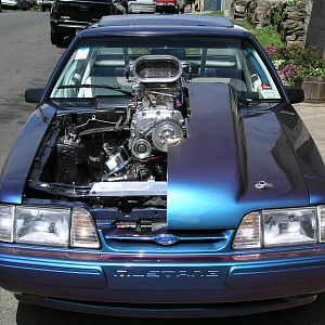 split hood