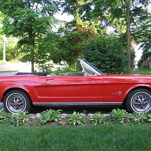My Wife's 65