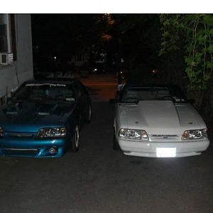 mustang mania