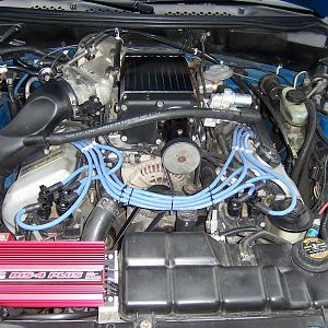 100 0253