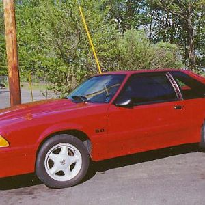 my mustang