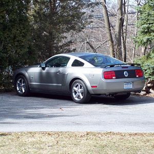 2009 Mustang V6 Premium Coupe

Buddy