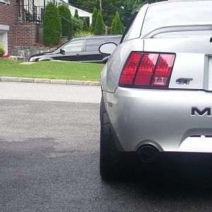 stang 007
