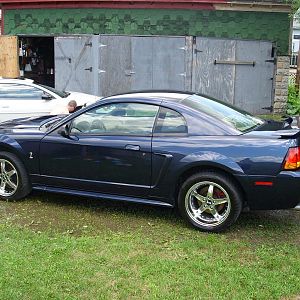 The Cobra