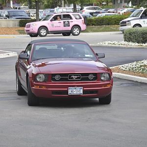 DSC 0947