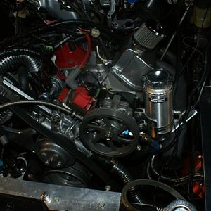 DSC01987