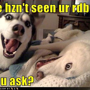 Redbull Doggies