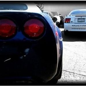 Vette//Stang