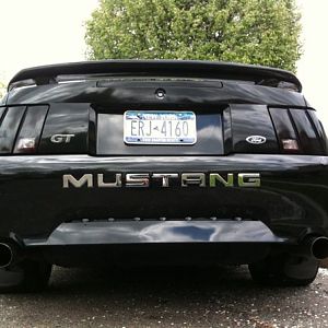 Back