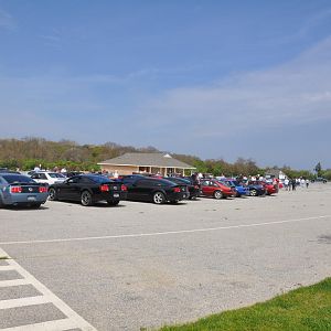 DSC 0093