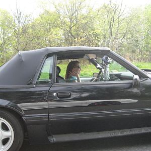 jen (jenstang)