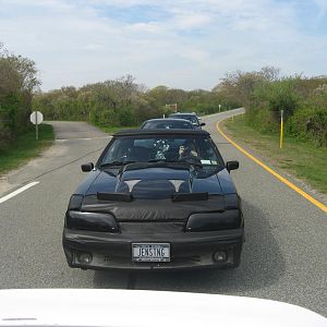 Picture 215