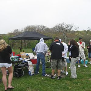 Picture 254