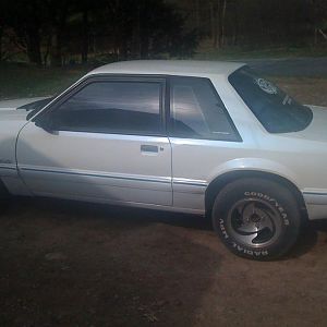 mustang 003