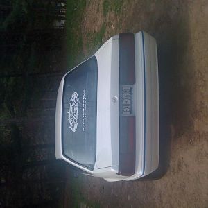 mustang 004