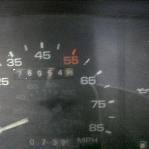 11692.jpg