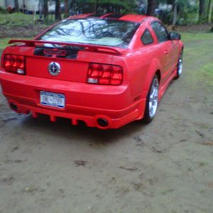 stang2
