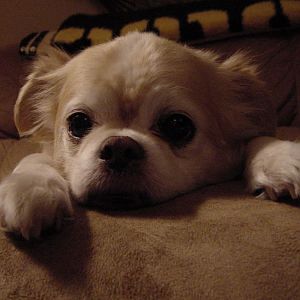 DSC01133