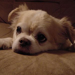 DSC01134