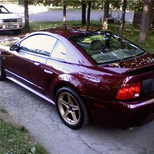 back