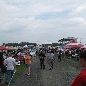 IMG 2317