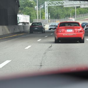 DSC 0007